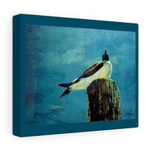 Load image into Gallery viewer, Coastal Canvas Gallery Wraps