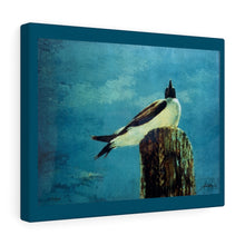 Load image into Gallery viewer, Coastal Canvas Gallery Wraps