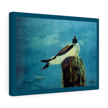 Load image into Gallery viewer, Coastal Canvas Gallery Wraps