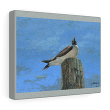 Load image into Gallery viewer, Travel - Birds Eye View Canvas Gallery Wraps