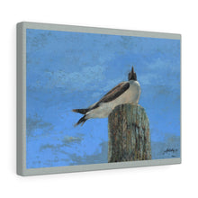 Load image into Gallery viewer, Travel - Birds Eye View Canvas Gallery Wraps