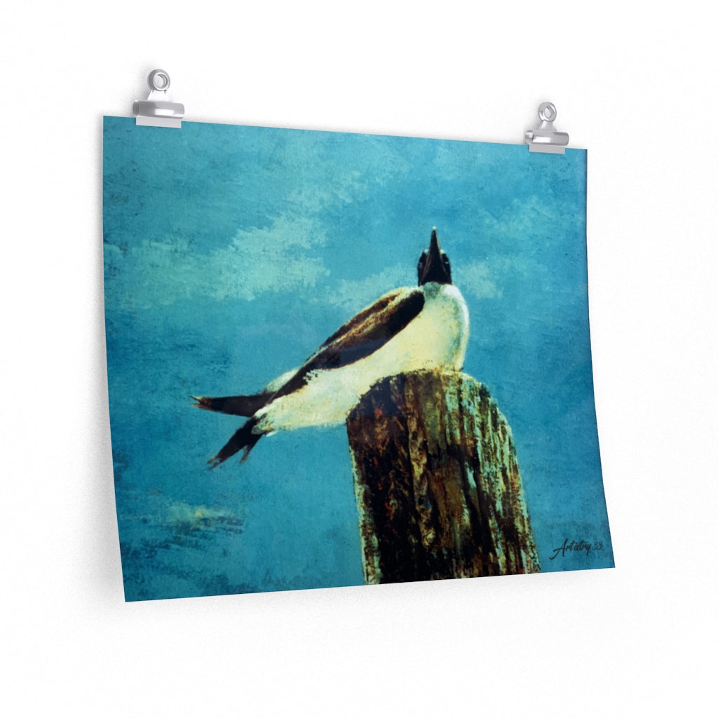 Coastal - Birds Eye View - Premium Matte horizontal posters