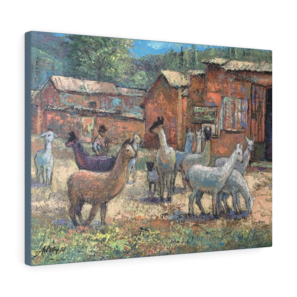 Travel - Alpaca Rush Hour Canvas Gallery Wraps