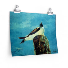 Load image into Gallery viewer, Coastal - Birds Eye View - Premium Matte horizontal posters
