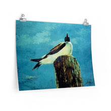 Load image into Gallery viewer, Coastal - Birds Eye View - Premium Matte horizontal posters
